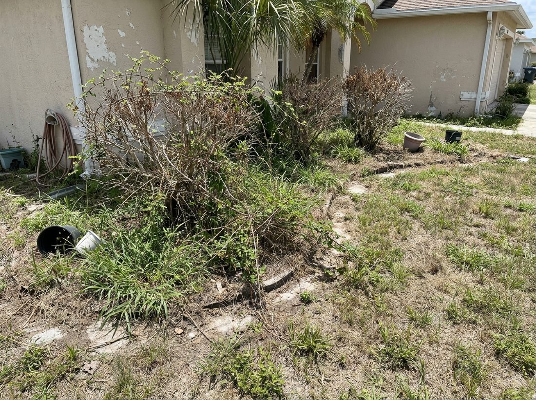 The problem: what landscaping neighbors call us about